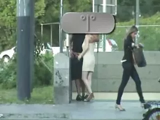 ჰინდი დამლაგებელი სახლის მესაკუთრის აღმართულ მამალს იღებს